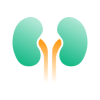 imgi_395_Kidney